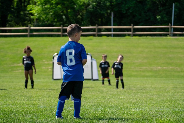 经常会传出 经常会传出