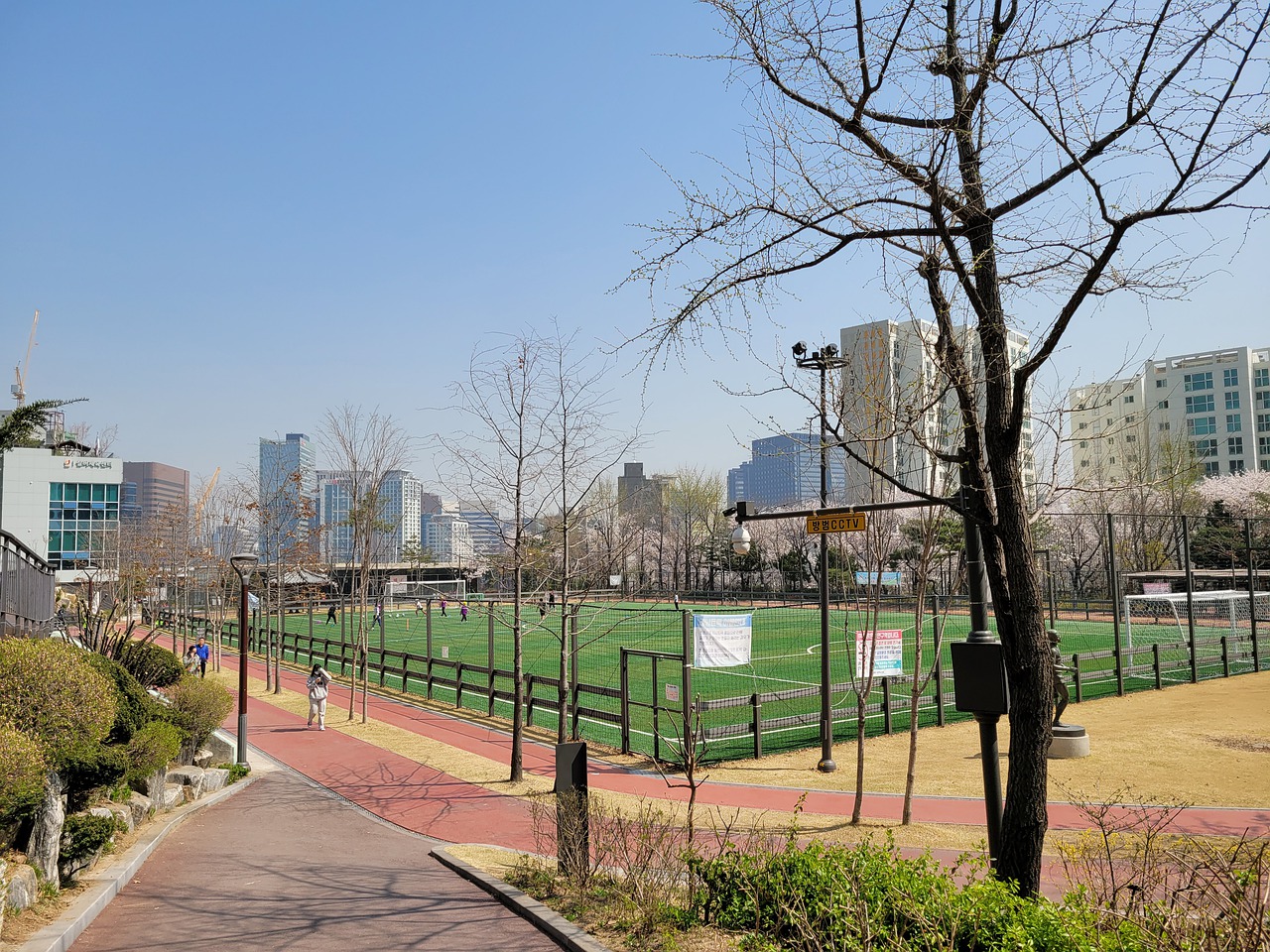 可能采取以 可能采取以