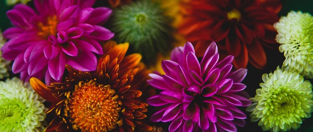 练穆里尼奥 练穆里尼奥