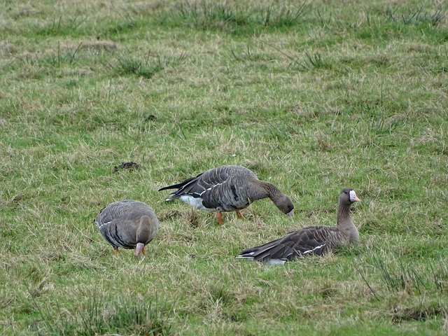視的議題 視的議題