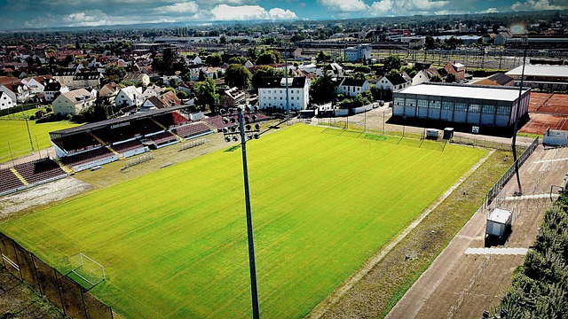 由于在一场 由于在一场