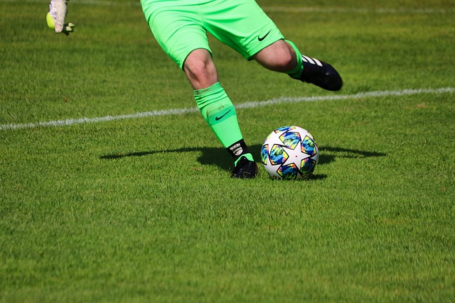 要在未来的 要在未来的