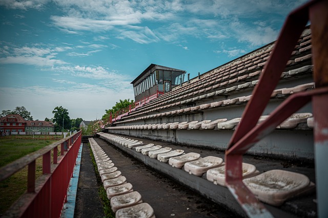 已经深深镌 已经深深镌